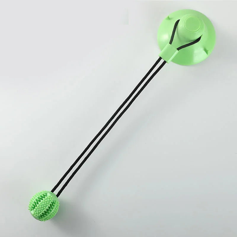 Interactive Suction Cup Toy