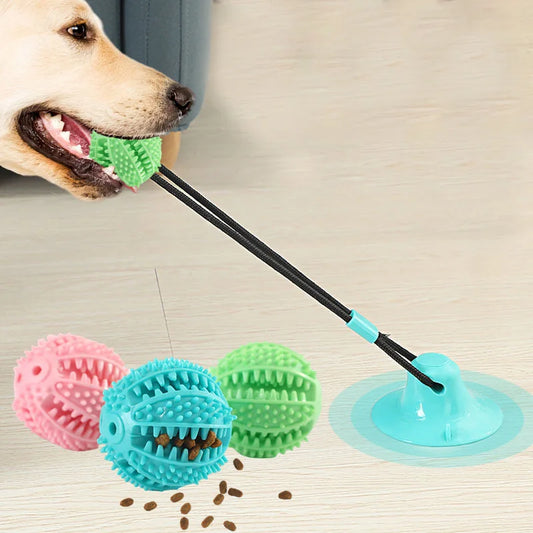Interactive Suction Cup Toy