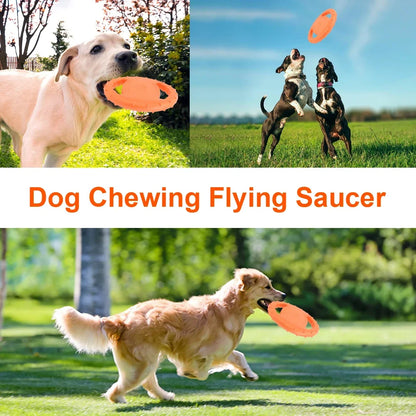 Interactive EVA Pet Flying Disc