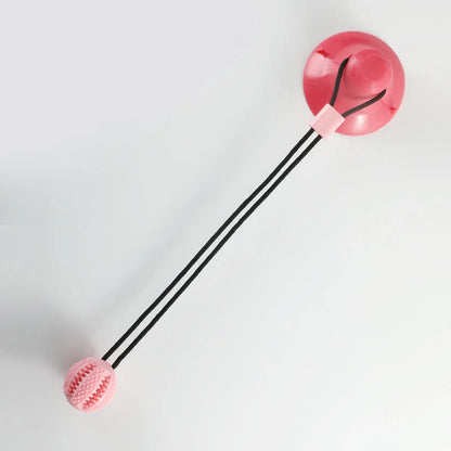 Interactive Suction Cup Toy