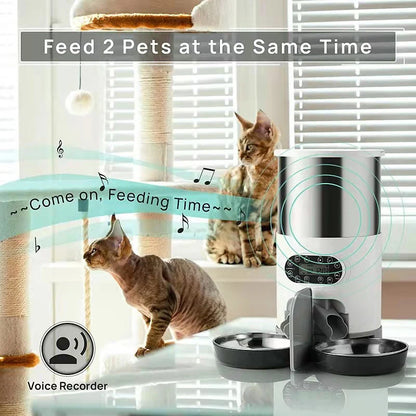Smart Cat Timing Feeder
