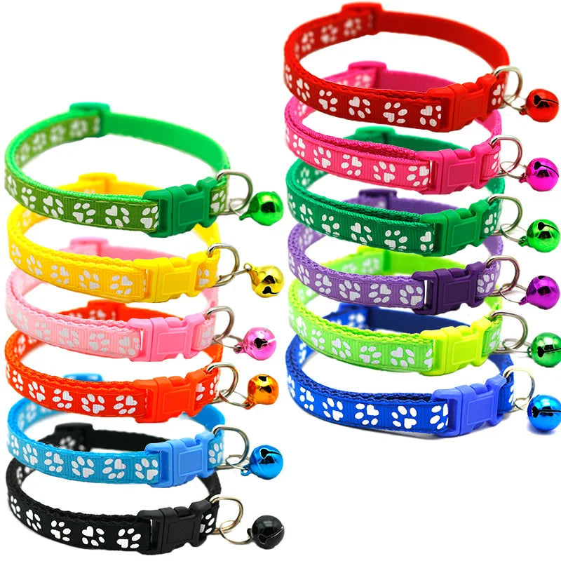 Colorful Pet Collar
