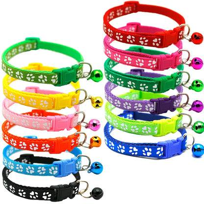 Colorful Pet Collar