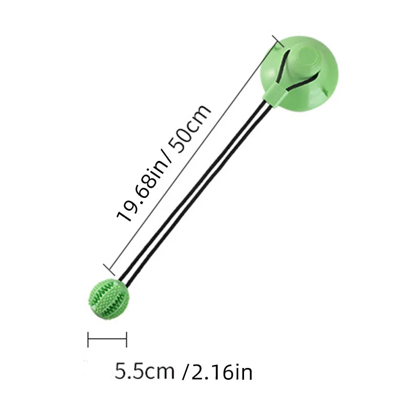 Interactive Suction Cup Toy