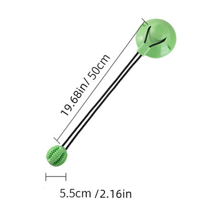 Interactive Suction Cup Toy