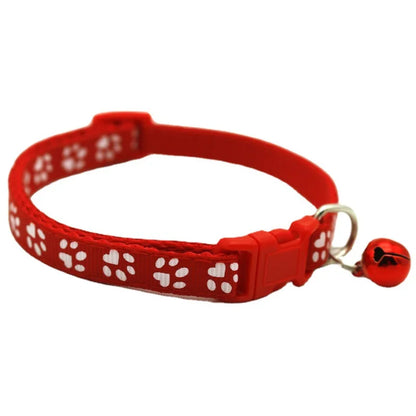 Colorful Pet Collar