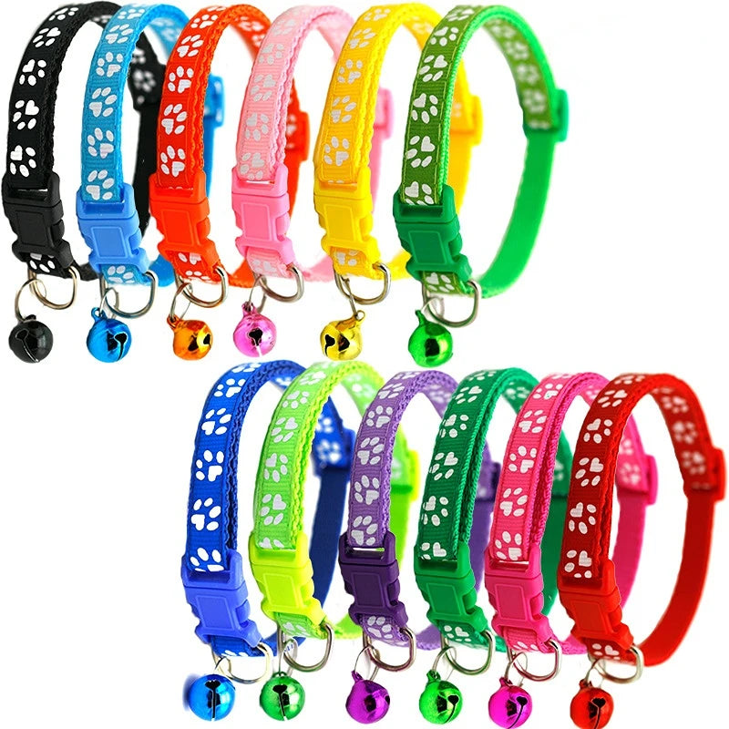 Colorful Pet Collar