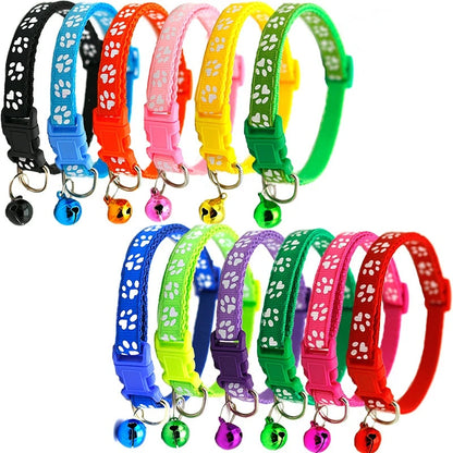 Colorful Pet Collar