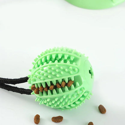 Interactive Suction Cup Toy