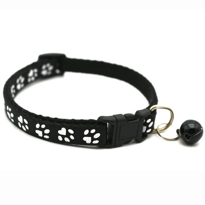 Colorful Pet Collar