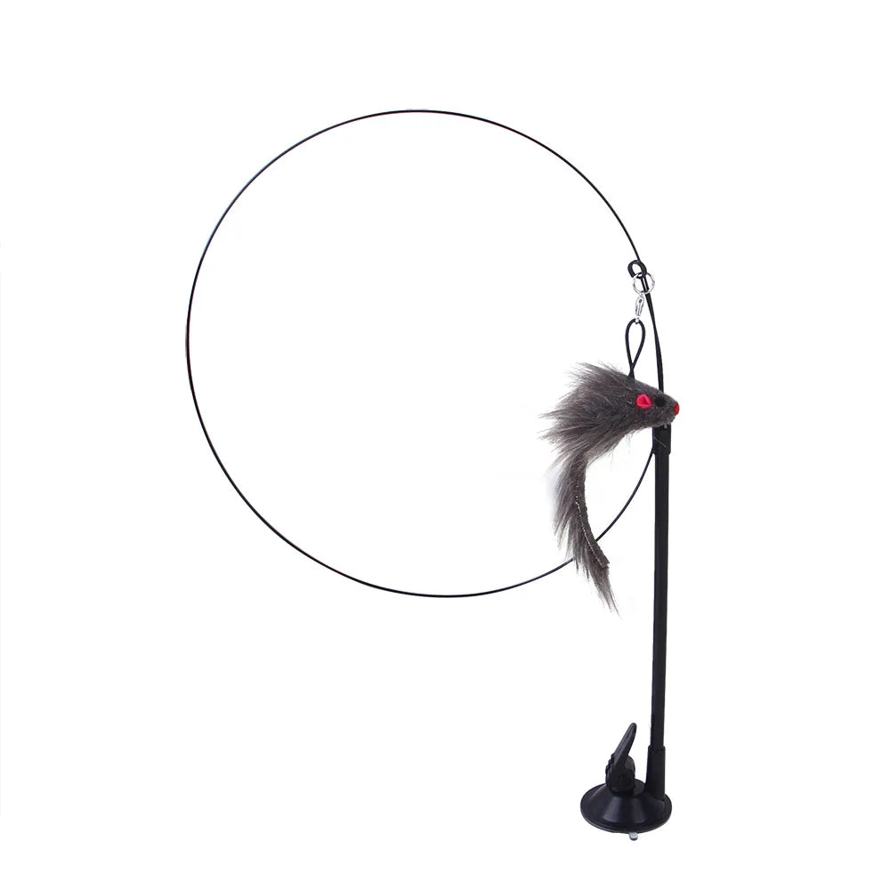 Interactive Simulation Bird Cat Toy