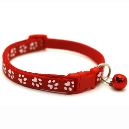 Colorful Pet Collar