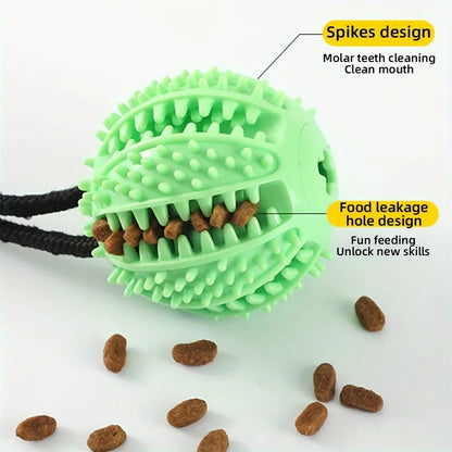 Interactive Suction Cup Toy