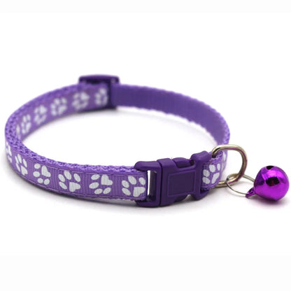 Colorful Pet Collar