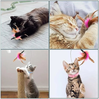 Adjustable Silicone Cat Collar