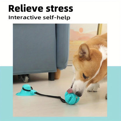 Interactive Suction Cup Toy