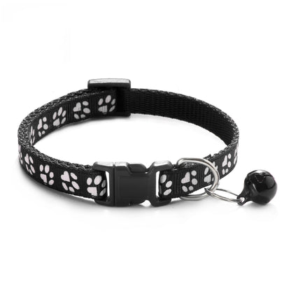 Colorful Pet Collar