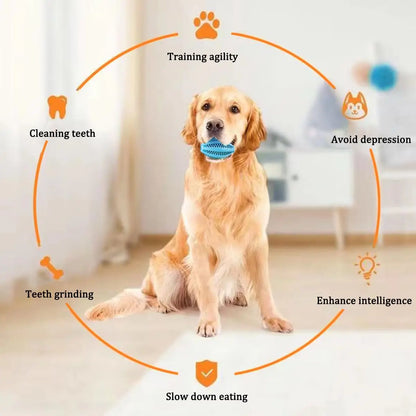 Durable Rubber Pet Chew Toy